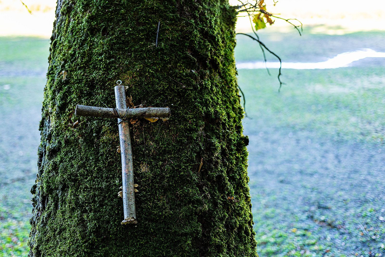 2022 holyweek good friday