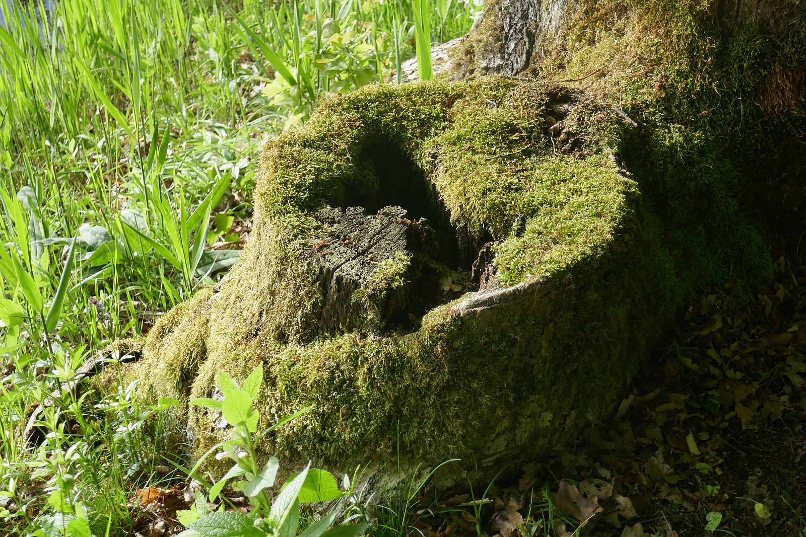 2022 holyweek monday