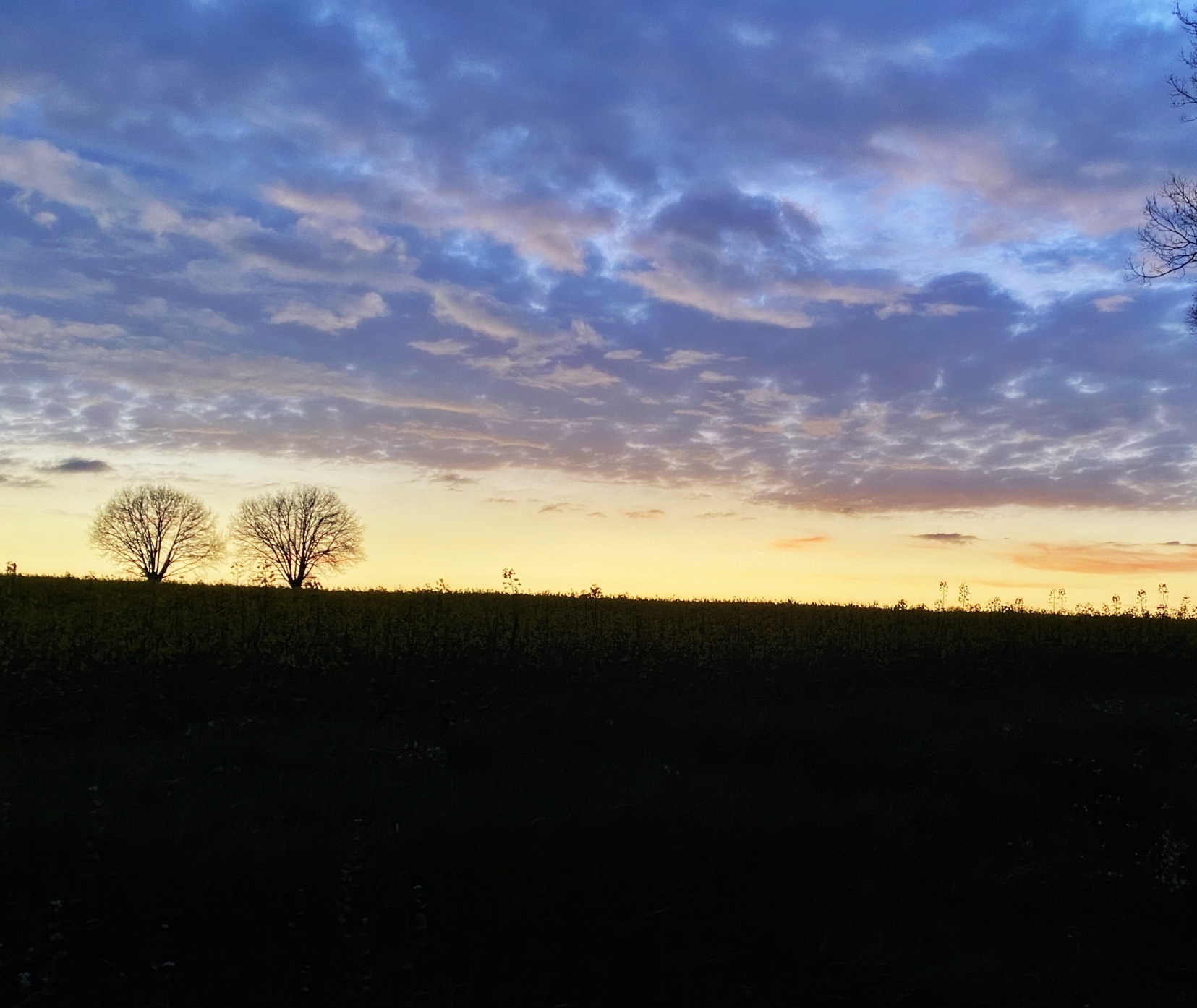 2022 holyweek thursday