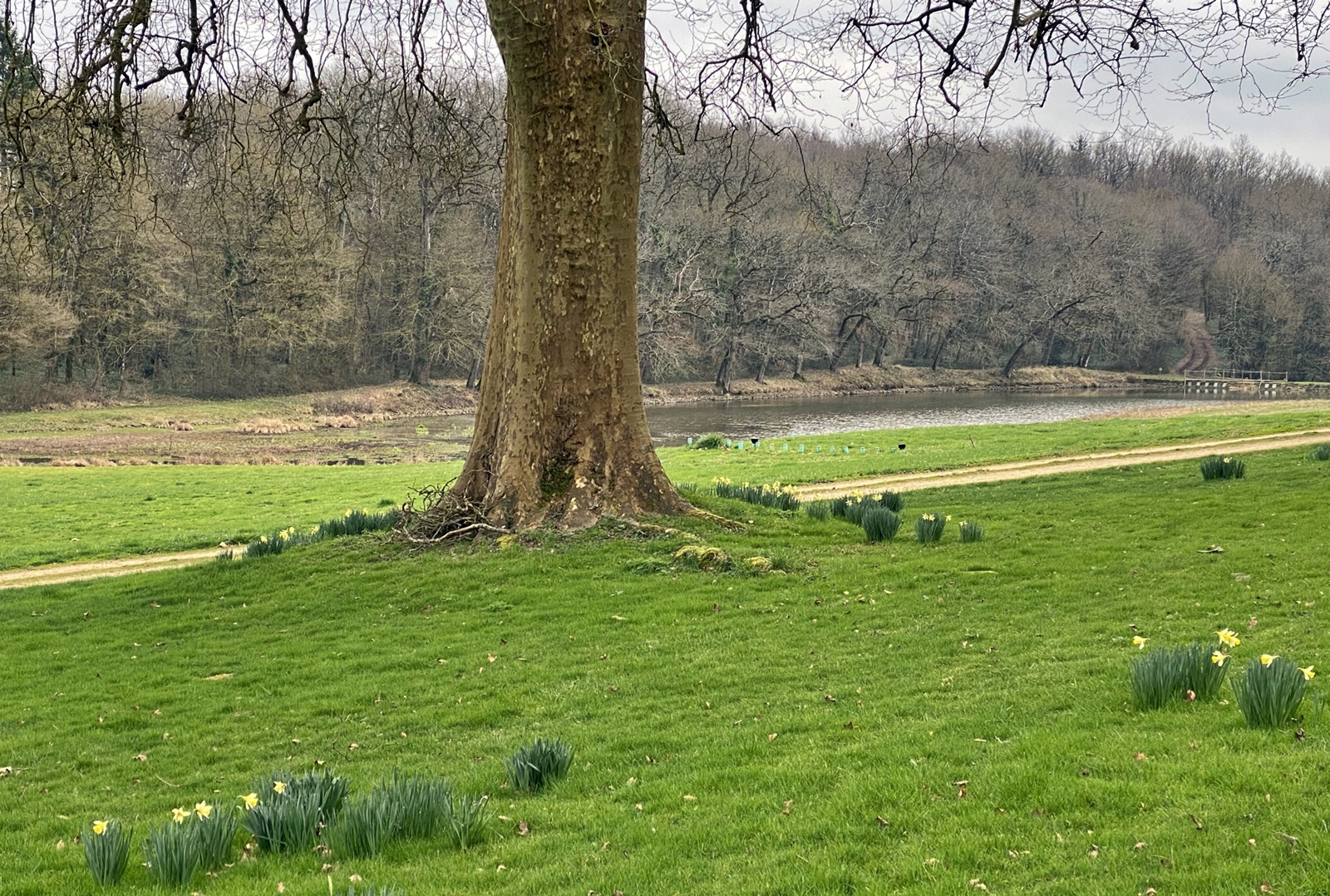 2022 Second week of Lent