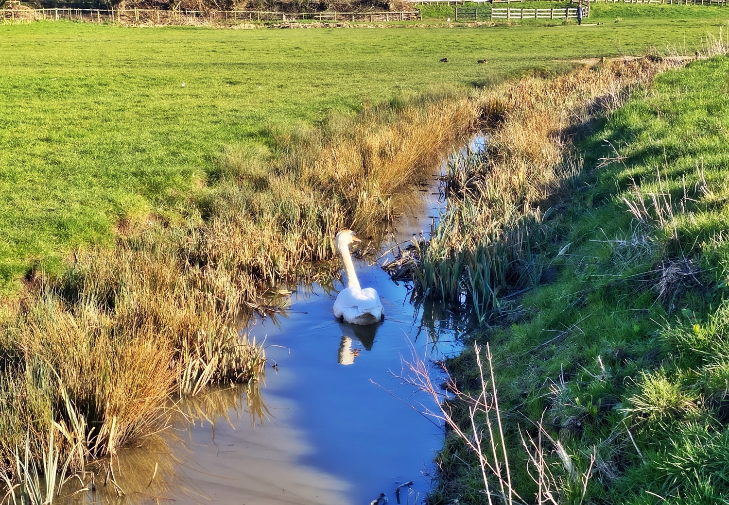 2022 Fourth week of Lent