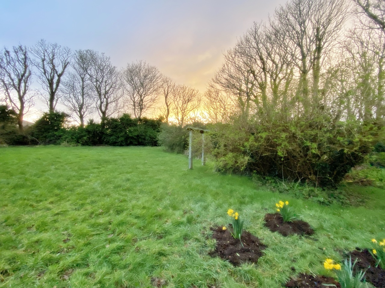 2022 Fifth week of Lent