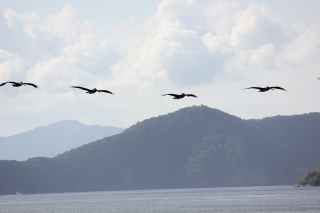 Be still like a mountain and flow like a great river