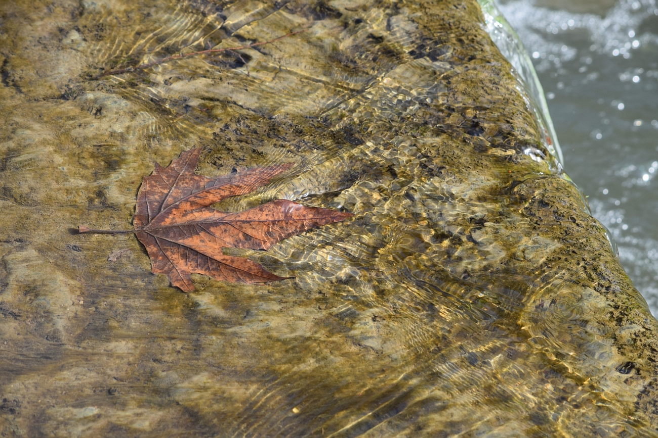 Lent Week 01 1300x867