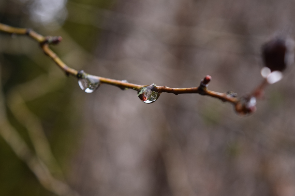 Lent Week 03 1200x800