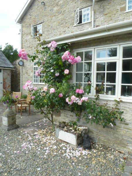 P1070303 Begin Quiet Garden