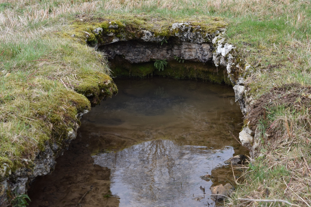 holy week thursday 1000x667