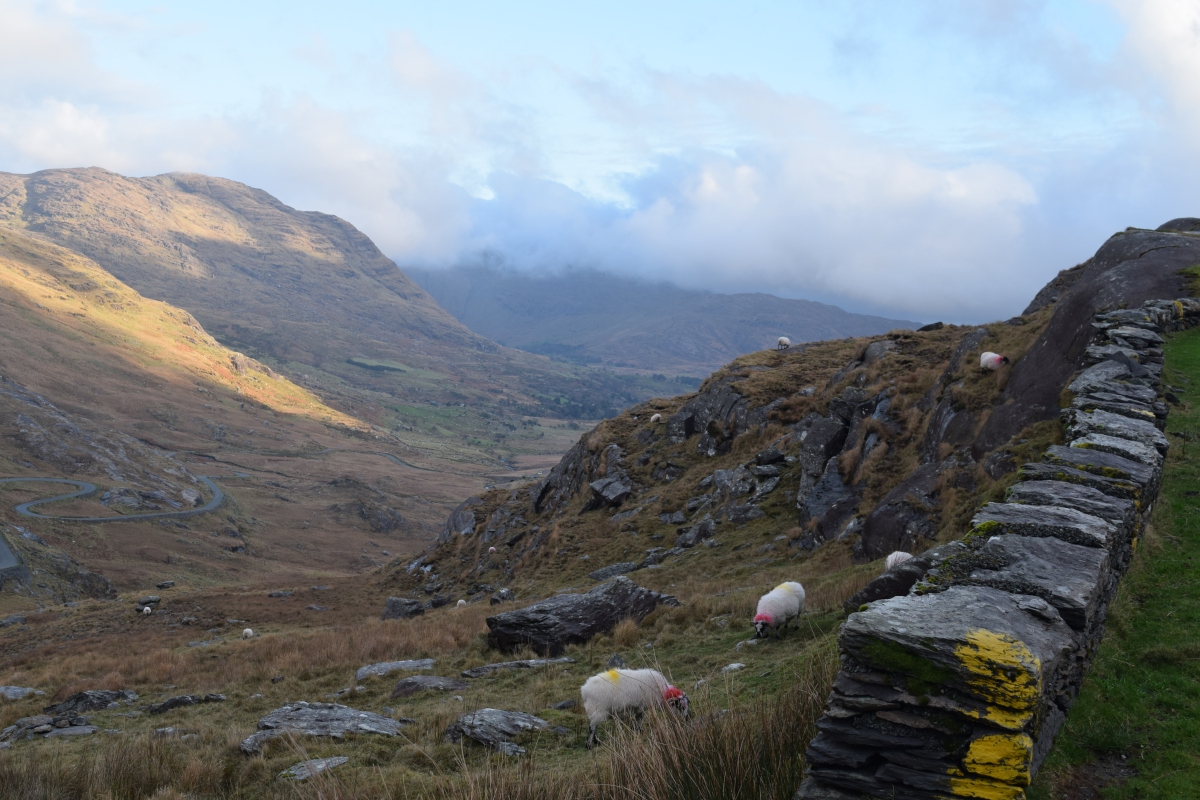 lent week 02 1200x800